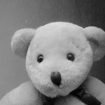 cropped-teddy.jpg